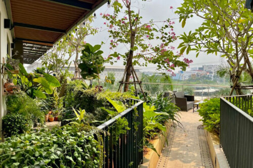 Bốc thăm chọn người mua căn hộ sân vườn tại Bình Tân, HCM